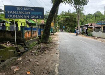 Pemangkasan Jalan Gunung Amal Kapan Dilaksanakan ?