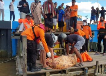 Sempat Hilang Dua Hari, ABK Tugboat Ditemukan dalam Kondisi Meninggal