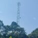 Kritisi Netizen untuk Tower Sellular di Longsam, Tak Pernah Aktif Sejak Didirikan 2015