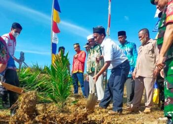 Gubernur Kaltara Lakukan Penanaman Perdana Kelapa Sawit Program PSR di Sebatik