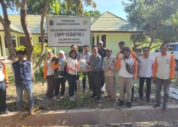 Balai Penyuluhan Pertanian Sebatik Mendapatkan Benih Padi Unggul