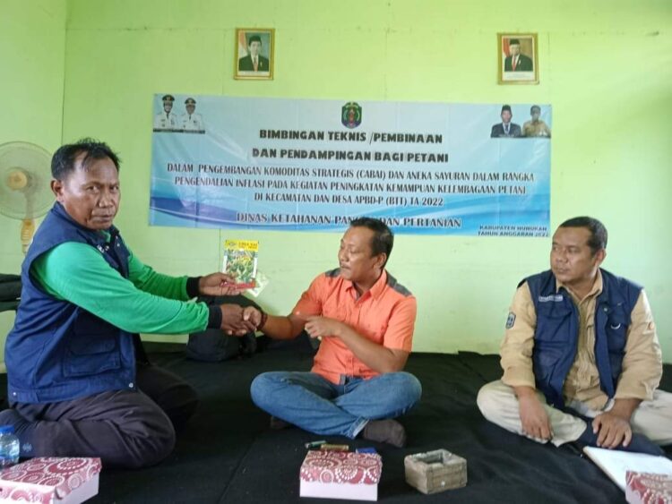Cara Jitu DKPP Menekan Inflasi melalui Menanam Cabai dan Aneka Sayuran