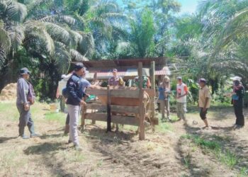 Vaksinasi Penyakit Mulut dan Kuku (PMK) pada Sapi – Kerbau