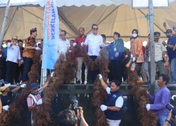 Menteri Kelautan dan Perikanan Panen Rumput Laut Nunukan