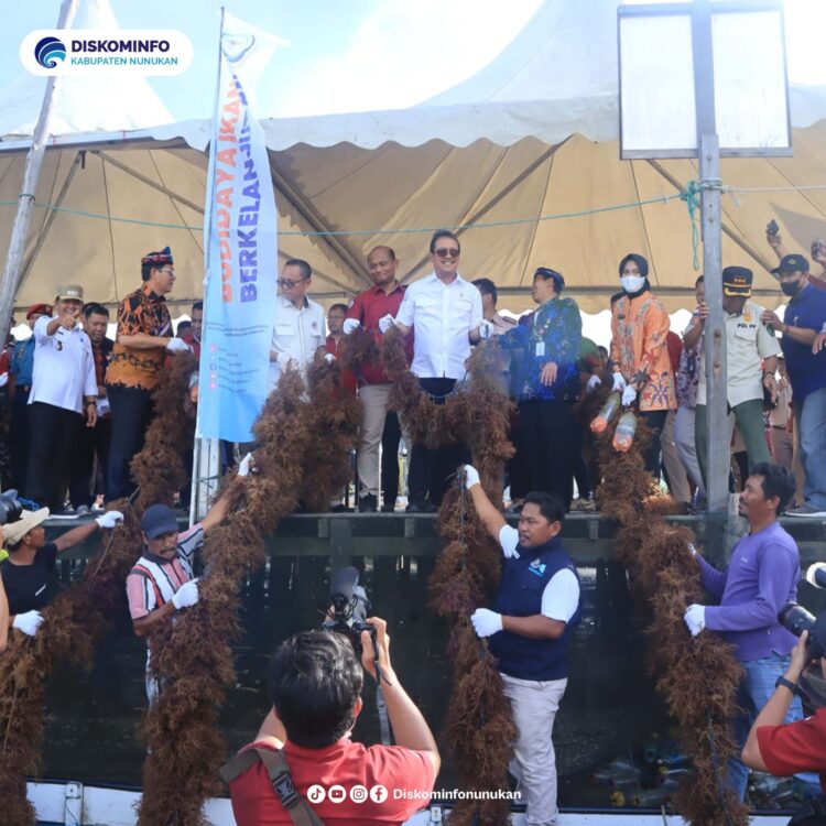 Menteri Kelautan dan Perikanan Panen Rumput Laut Nunukan