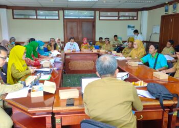 Penyusunan Rencana Kerja Tim Pokjanal Posyandu Kabupaten