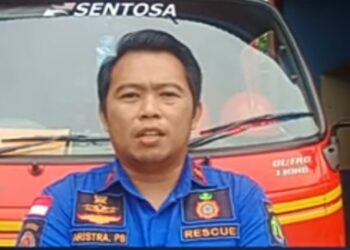 Damkar Sebatik Timur Evakuasi Buaya Dari Parit