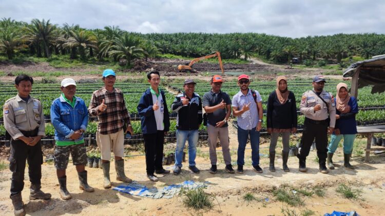 Pengawasan DKPP Terkait Penyebaran Benih Kelapa Sawit pada Perusahaan Besar Swasta Di Kabupaten Nunukan