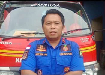 Tim Rescue Damkar Evakuasi Ular Sanca Kembang Sepanjang 2 Meter