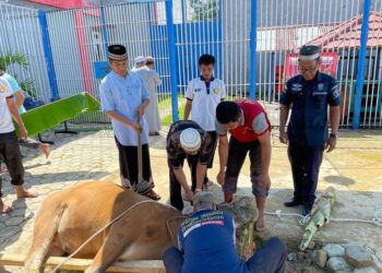 Rayakan Idul Adha, Lapas Nunukan Sembelih 5 Ekor Hewan Kurban