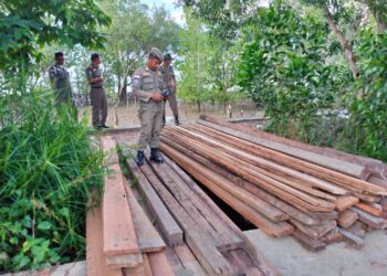 Satpol PP Janji Bongkar Paksa Bangunan Baru Tempat Penjempuran Rumput Laut