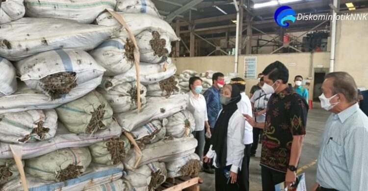 Bupati Nunukan Bersama Gubernur Kaltara Kunjungi Pabrik Rumput Laut