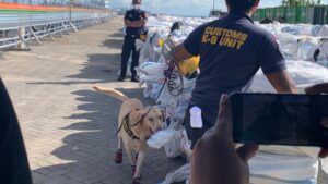 Aksi anjing K9 Bea Cukai memeriksa ballpress kontainer yang diduga milik HSB (Foto: Rizky/CAKRANEWS)