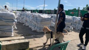 Aksi anjing K9 Bea Cukai memeriksa ballpress kontainer yang diduga milik HSB (Foto: Rizky/CAKRANEWS)