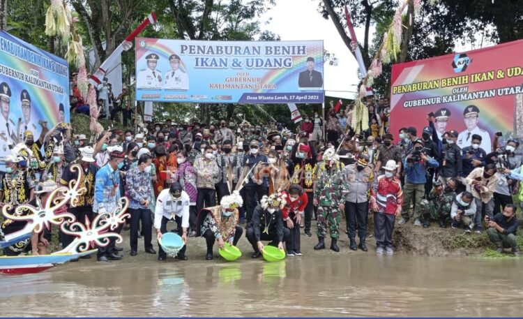 Gubernur Kaltara Pimpin Prosesi Penaburan Benih Ikan dan Udang di Sungai Malinau