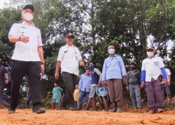 Bupati Tinjau Jalan Tani yang Menghubungkan Kelompok Tani Di 3 Desa
