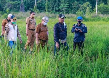 Bupati Tinjau Jalan Tani di Kecamatan Malinau Barat