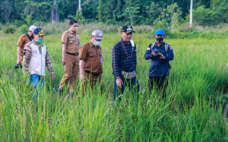 Bupati Tinjau Jalan Tani di Kecamatan Malinau Barat