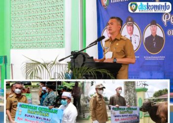 Jelang Hari Raya Idul Adha, Pemkab Malinau Berikan Bantuan Hewan Qurban