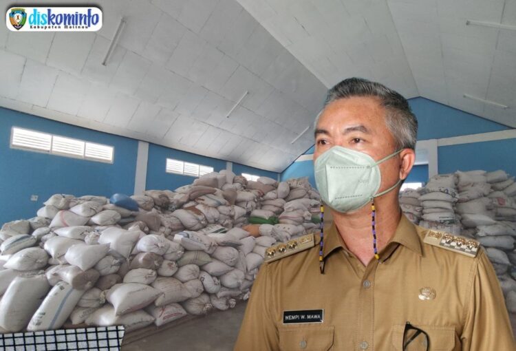 Musim Panen, Bupati Tinjau Gudang Penggilingan Padi Rasda