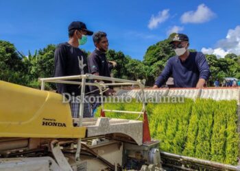 Masuk Musim Tanam, Bupati Tanam Padi Perdana Bersama Petani