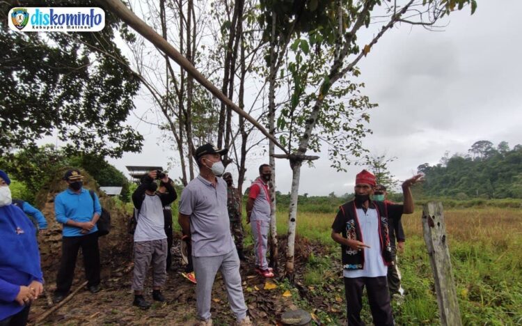 Bupati Kunjungi Kelompok Tani Desa Mentarang Baru