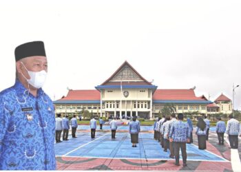 Wabup Pimpin Apel Gabungan Korpri