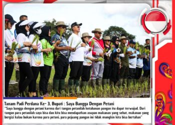Tanam Padi Perdana Ke-3, Bupati : Saya Bangga Dengan Petani