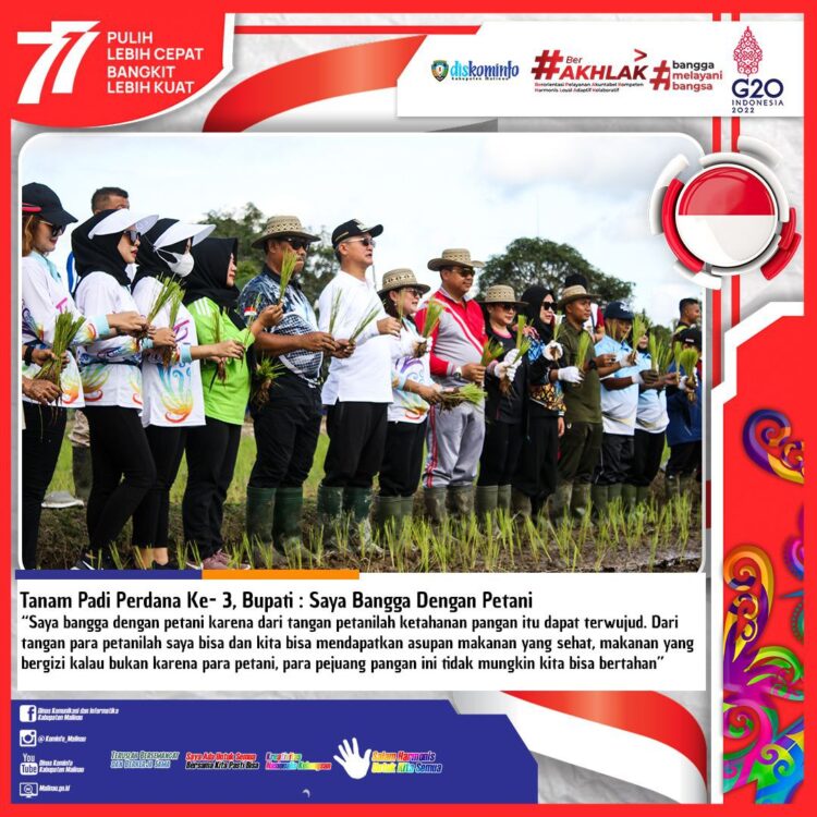Tanam Padi Perdana Ke-3, Bupati : Saya Bangga Dengan Petani