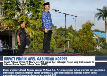 Bupati Pimpin Apel Gabungan Korpri