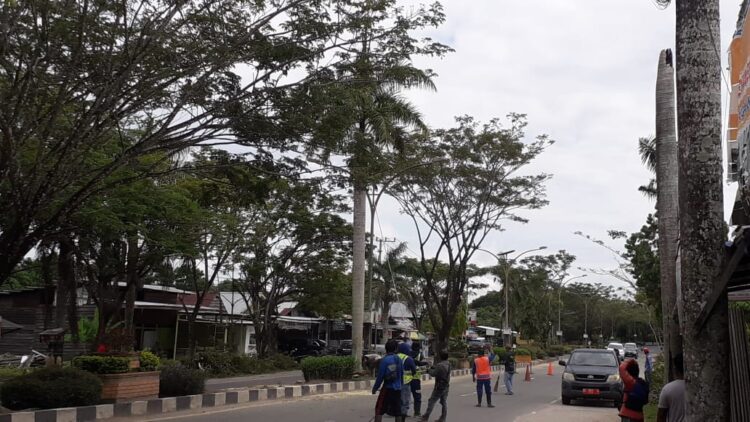 Khawatir Menganggu Pengendara, DPRKP Pangkas Pohon Taman di Jalan