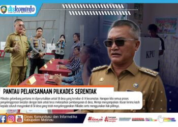 Pantau Pelaksanaan Pilkades Serentak, Bupati Salut Antusias Masyarakat Luar Biasa