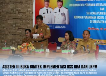 Asisten III Buka Bimtek Implementasi OSS RBA dan LKPM