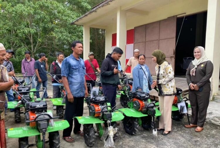 Beri Bantuan Alat Pertanian, Bupati Laura: Semoga Produktifitas Pangan di Nunukan Meningkat