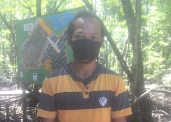 Pandemi Covid-19 Pengaruhi Penurunan Pengunjung Wisata Hutan Mangrove