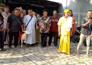 Duh Gusti, Saiful Nikahi Kambing, Namanya Sri Rahayu Bin Bejo