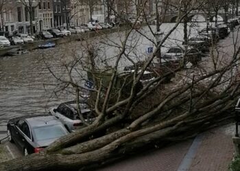 Badai Eunice Menghantam Belanda, Pohon Tumbang Tewaskan Tiga Orang