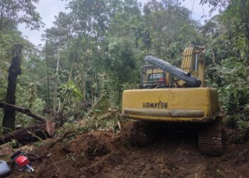 Dua Alat Berat Perambah Hutan Konservasi Disita Dishut Sumut