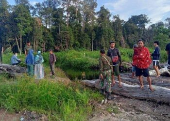Predator Kembali Memangsa, Warga Bebakung Diterkam Buaya Saat Mandi