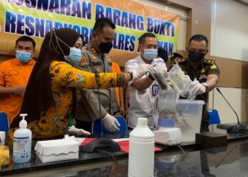 Polres Tarakan Musnahkan Barang Bukti Sabu dan Ganja