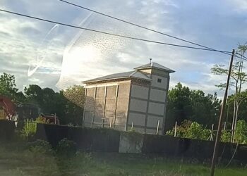 Usaha Sarang Burung Walet, Bisa Untung Ratusan Juta Perbulan