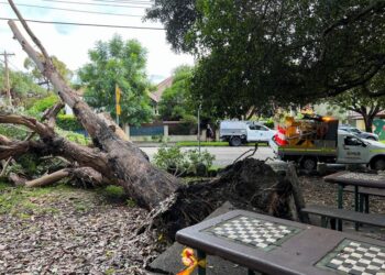 Australia Nyatakan Darurat Nasional, Akibat Banjir di Pantai Timur