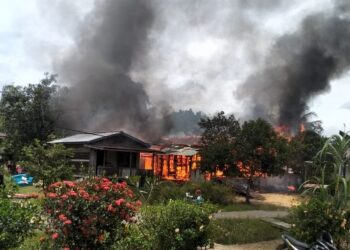 Si Jago Merah Melalap Rumah Warga