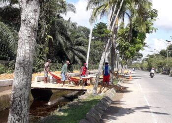 Penataan Landscape Hutan Kota Bunda Hayati