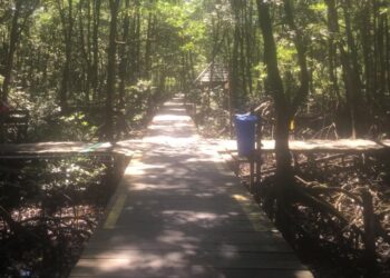 Omzet Obyek Wisata Hutan Mangrove Menurun Akibat Covid-19