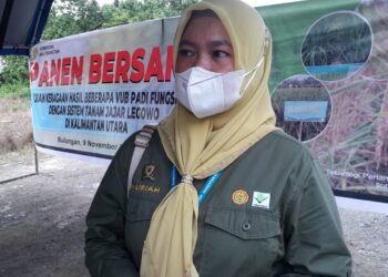 BPTP Balitbangtan Kaltim Ujicoba Varietas Padi Fungsional di Kaltara