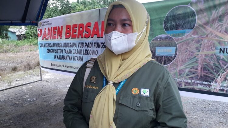 BPTP Balitbangtan Kaltim Ujicoba Varietas Padi Fungsional di Kaltara