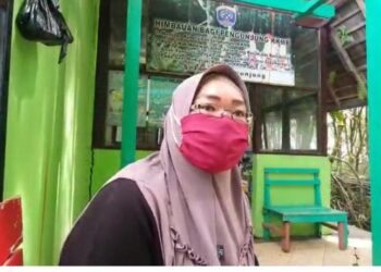 Populasi Bekantan Mencapai 40 Ekor, KKMB Tarakan Butuhkan Dokter Hewan