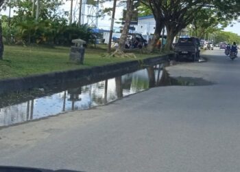 Tidak Diurus, Genangan di Tugu Cinta Damai Tanggungjawab Siapa?