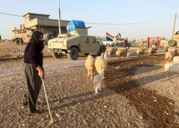 Pasukan Irak, Peshmerga Kurdi Merebut Kembali Desa Utara dari Militan ISIS